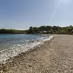 Dvornik * Mirce