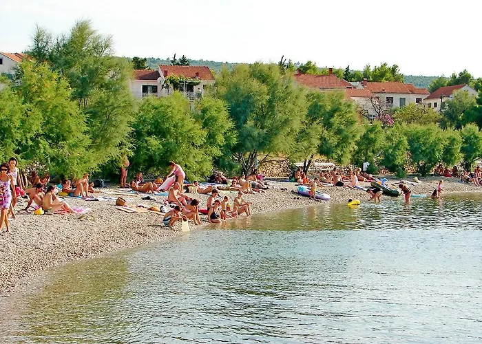 Dvornik Mirce